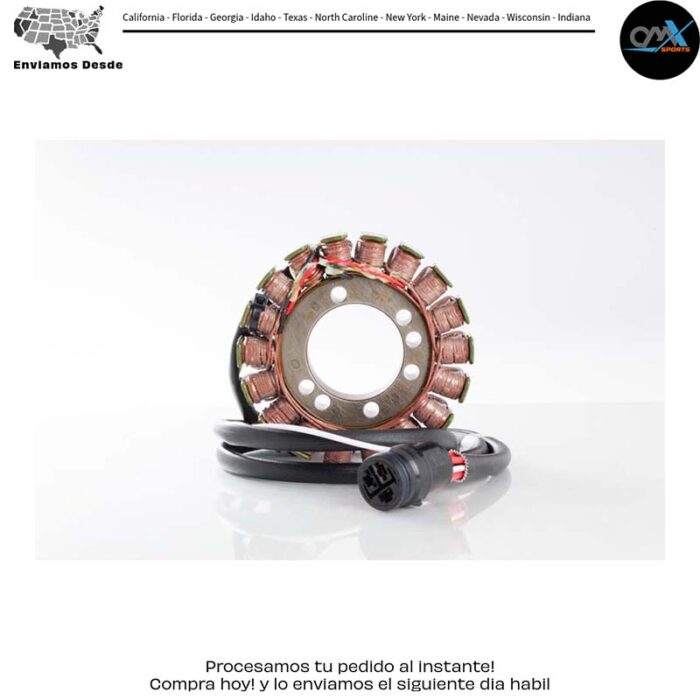 Estator Kawasaki ZX1200 Ninja ZX-12R 2002-2004