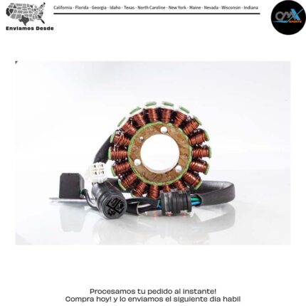 Estator Yamaha YFM660R Raptor 2001-2005
