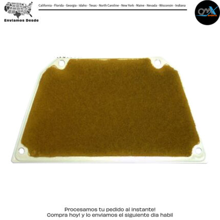 AIR FILTER Kawasaki ZX1000 Ninja ZX-10 ZX1000 Ninja 1000R 86-89 Kawasaki ZX1000 Ninja ZX-10 1988-1989 Kawasaki ZX1000 Ninja 1000R 1986-1987 read more...