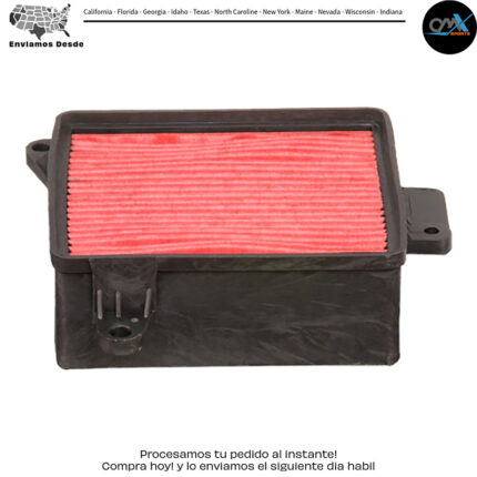 AIR FILTER   -  read more...