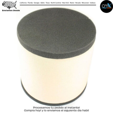 FILTRO DE REPUESTO PARA RETROCESO