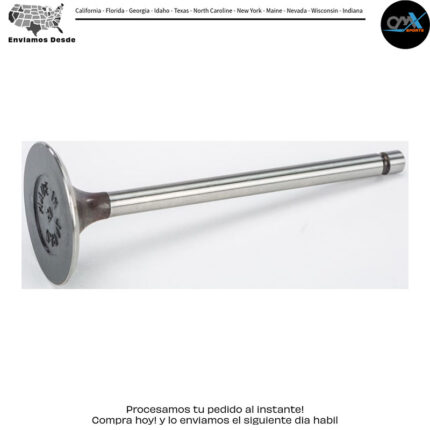 INTAKE VALVE Honda XR600R XR650L 1993-2017