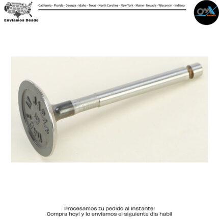INTAKE VALVE Yamaha TT-R125 TT-R125E TT-R125LE TT-R125L 2000-2015
